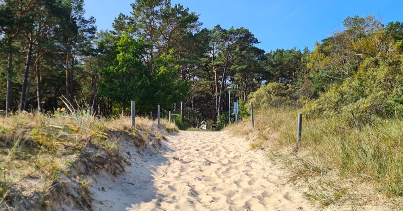 Sandweg durch Dünen mit Gras und Bäumen im Hintergrund unter blauem Himmel.