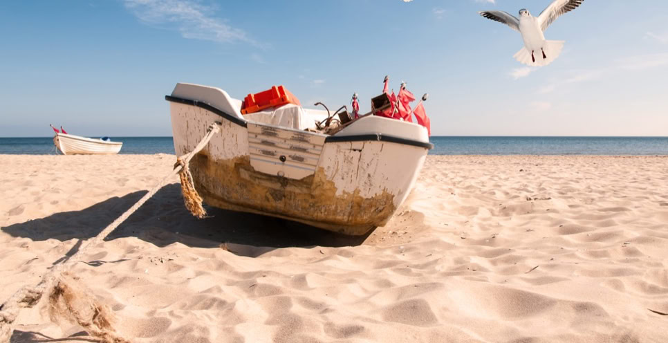 Ein Boot liegt auf einem sandigen Strand, zwei Möwen fliegen darüber, und im Hintergrund ist das Meer unter einem blauen Himmel zu sehen.