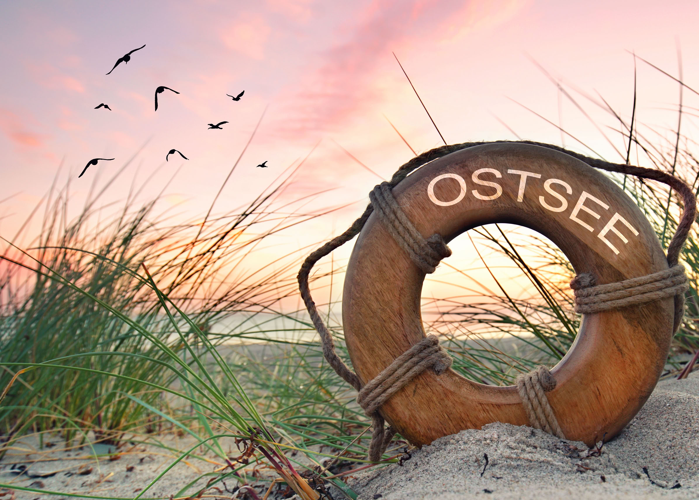Rettungsring mit der Aufschrift "OSTSEE" im Sand, umgeben von Gräsern, im Hintergrund ein Sonnenuntergang und fliegende Vögel.