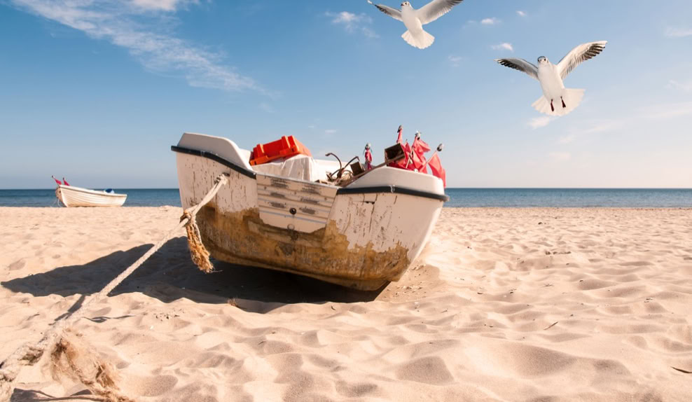 Ein Boot liegt auf einem sandigen Strand, mit zwei fliegenden Möwen im blauen Himmel.