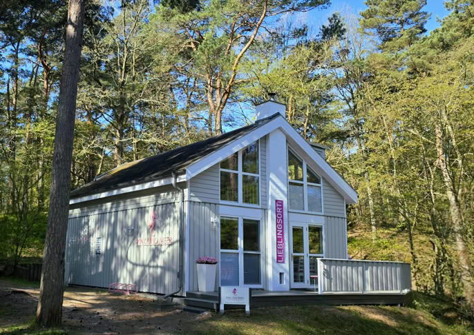 Modernes Haus mit großen Fenstern in einem Waldgebiet, umgeben von Bäumen und blauem Himmel.